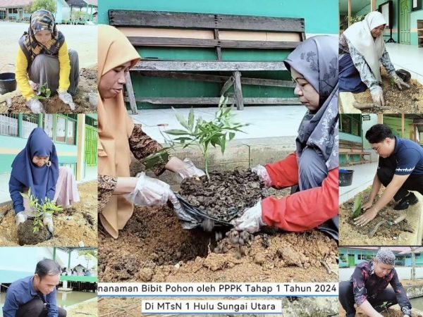 P3K Kemenag Tahap 1 Formasi Tahun 2024 MTsN 1 HSU Tanam Pohon, Wujudkan Lingkungan Madrasah yang Hijau