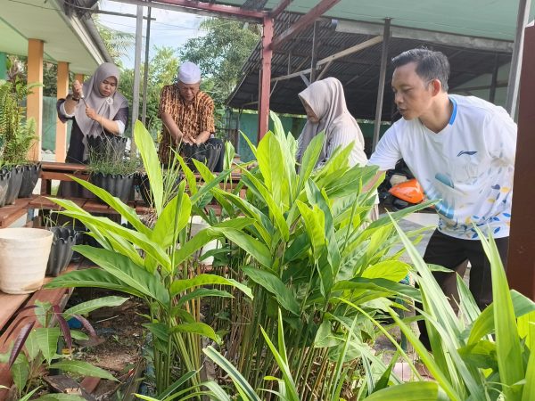MTsN 1 HSU Revitalisasi Apotek Hidup, Wujudkan Madrasah Sehat dan Edukatif