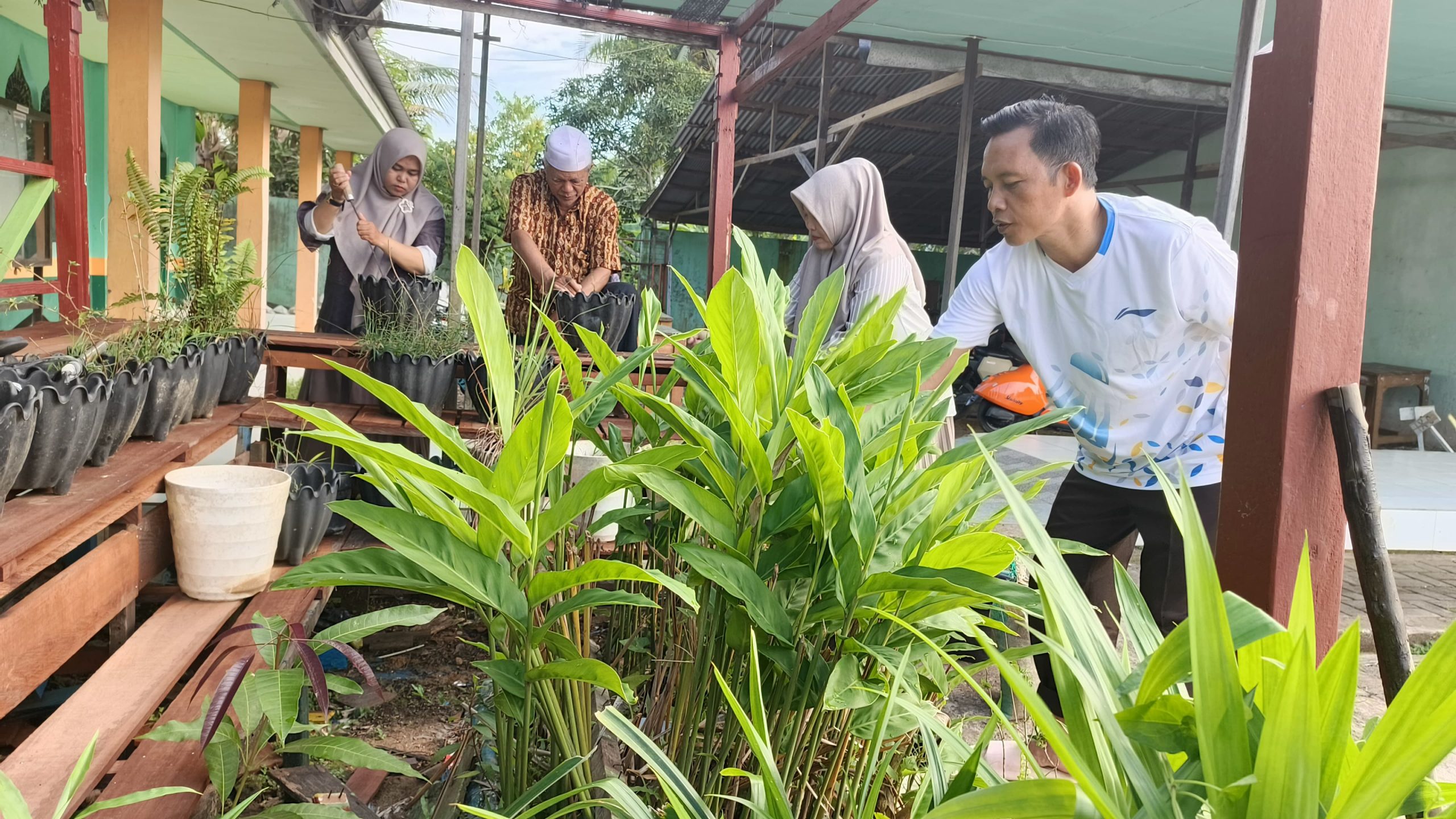MTsN 1 HSU Revitalisasi Apotek Hidup, Wujudkan Madrasah Sehat dan Edukatif MTsN 1 HSU Revitalisasi Apotek Hidup, Wujudkan Madrasah Sehat dan Edukatif