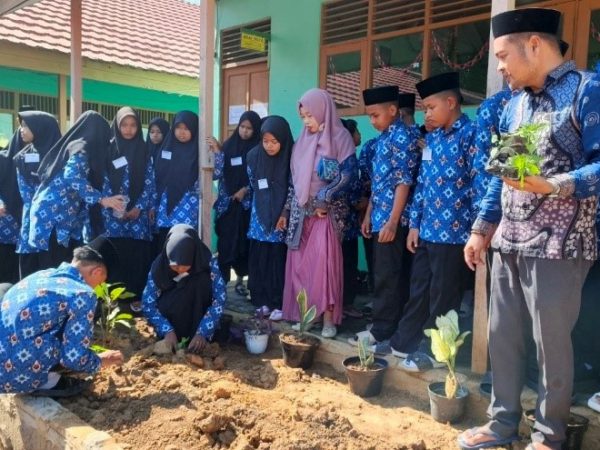 Wujudkan Ekoteologi, Murid Baru MTsN 1 HSU Gotong Royong dan Tanam Terong-Cabe di Taman Kelas Wujudkan Ekoteologi, Murid Baru MTsN 1 HSU Gotong Royong dan Tanam Terong-Cabe di Taman Kelas